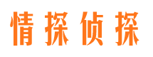 甘泉市婚外情调查